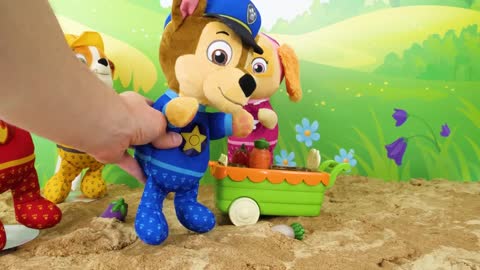 Video de aprendizaje para niños - ¡Picnic de la Paw Patrol!