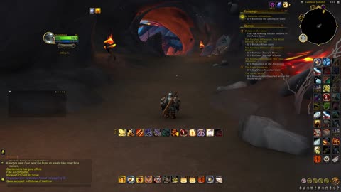 Dragon Flight Ret Pally