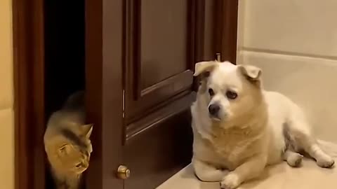 Opps. Wrong Door 😂 Very funny moment
