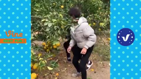 WWA_NEW_FANNY_VIDEO🤣🤣🤣_ cutest_people