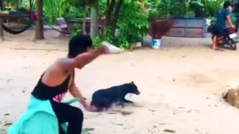 Troll prank dog fanny video