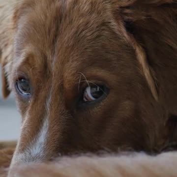 Relax and Renew: How Relaxing This is for the Soul? Volume 126