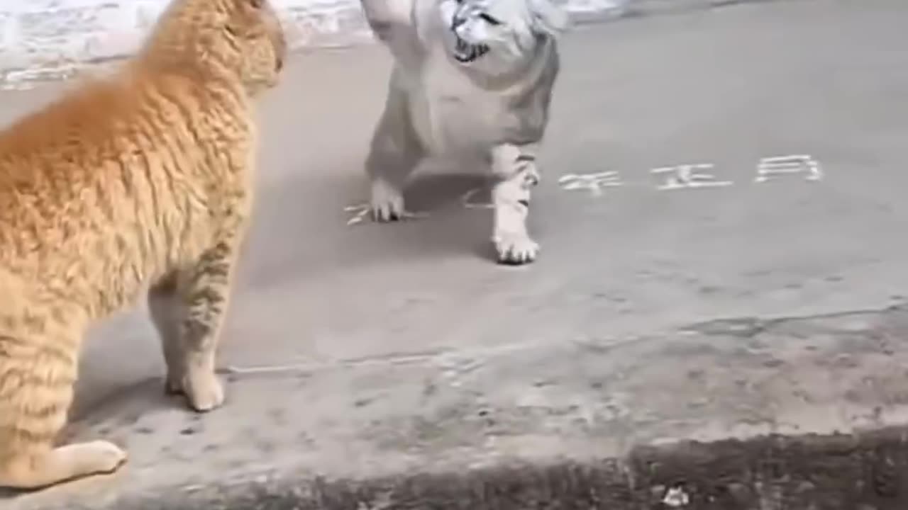 It feels like a slap ️