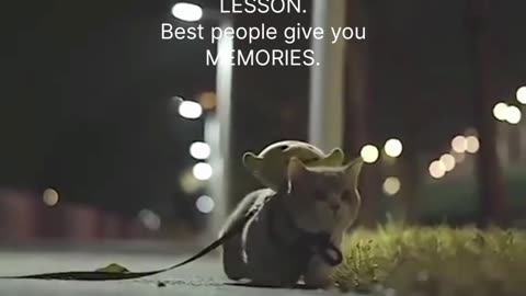 Best Deep Lines