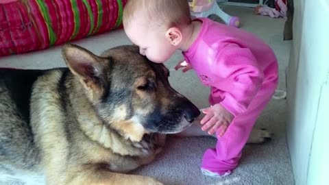 When your dog becomes the trusted nanny😂 Cute Moments Dog and Human😆 #27