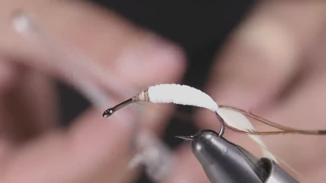 Nymph Skin Body.Ammonite Style-19