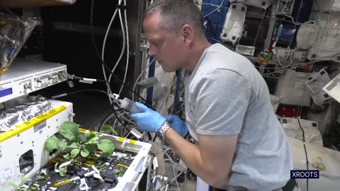 NASA's SpaceX Crew-4: A Scientific Journey