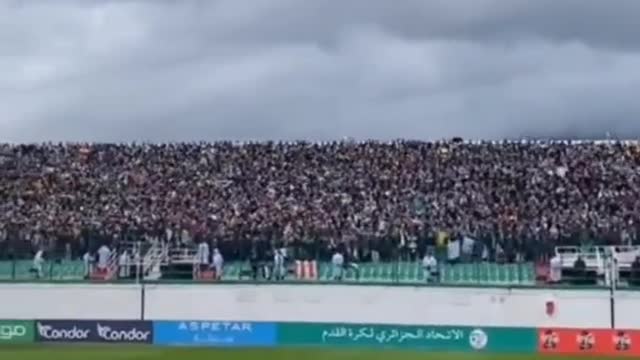 Video of mca fans from the stadium