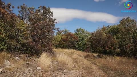 RTANJ MOUNTIN-VELIKA PORICA CAVE