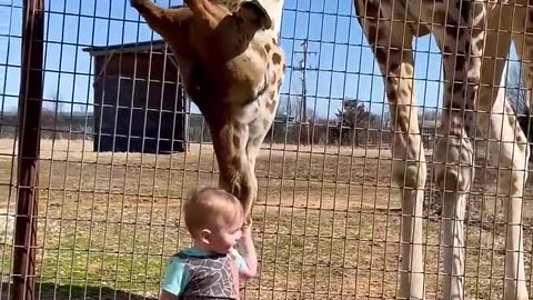 cute baby with baby boy