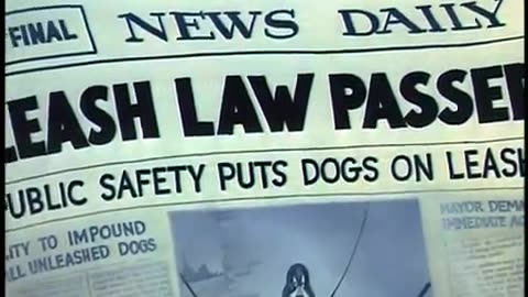 Tom and Jerry - Fit to be tied