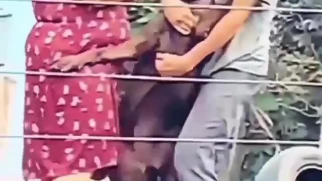 giving injection for a don't 🤣