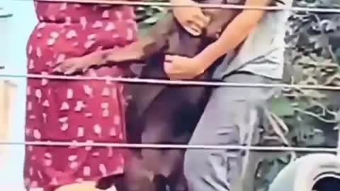 giving injection for a don't 🤣