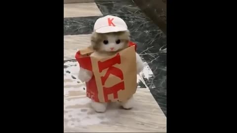 Best funny dog and cat videos😸🐶 New funny animals 2024