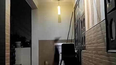 Funny clips 😃😂