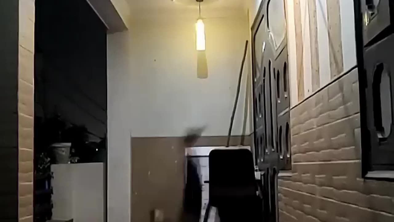 Funny clips 😃😂