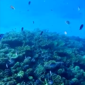 Mariana Trench the deepest place in ocean -English