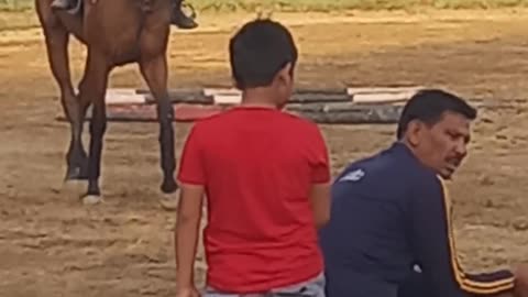 Learn horse riding