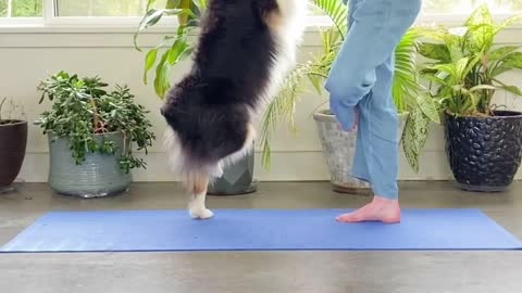 Happy international yoga day 2022