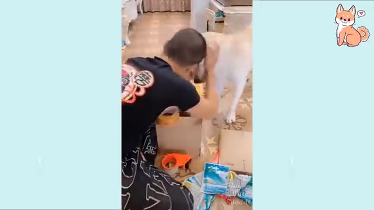You will laugh at all the DOGS 🤣 Funny DOG Videos 😂🐶