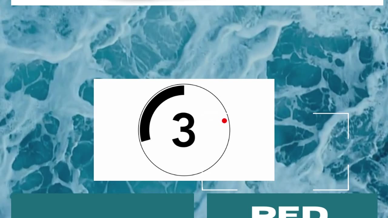 Fish Frenzy 2 A fast-paced quiz short