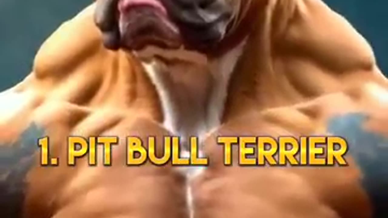 Top 10 most dengerous dog in the world
