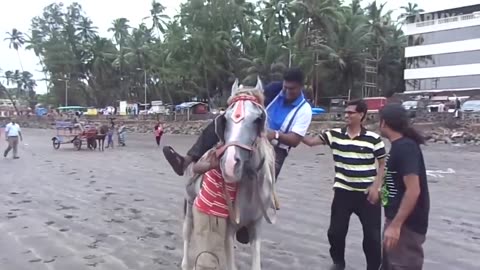 Adults Being Stupid _ Try Not to Laugh