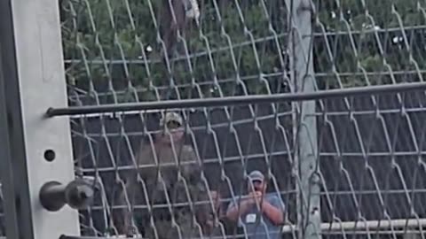 Palestinian activist attempts to raise a pro-Palestine flag at NASCAR race.