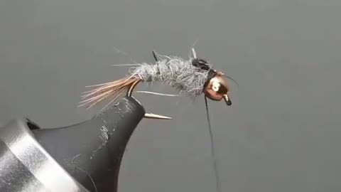 This is a beautiful and charming water-dwelling species