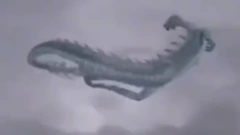 DRAGON13 DRAGONS APPEARED IN THE SKY.