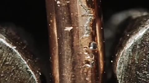Bending wire