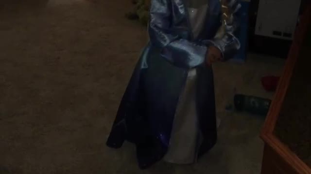 Mini Elsa