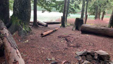 Oregon – Mount Hood National Forest – PRIME Backcountry Camping Site – 4K