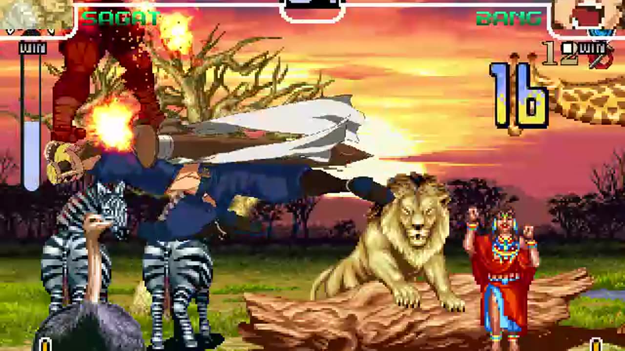 Bang Shishigami (Me) vs Sagat