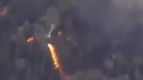 Only you can prevent forest fires!