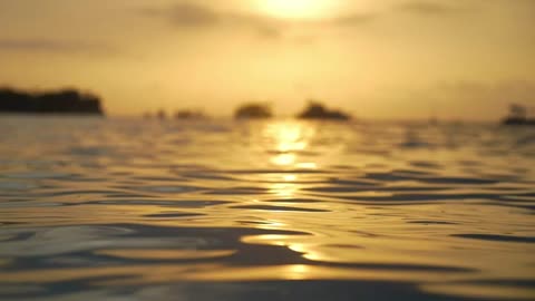 Romantic Relaxing Saxophone