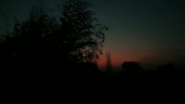 I have no reason not to like such a night