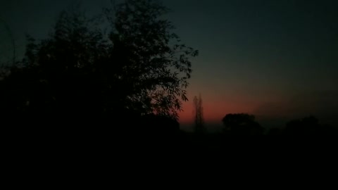 I have no reason not to like such a night
