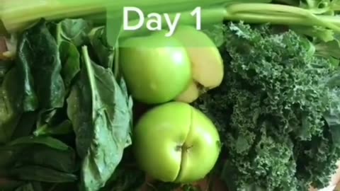 download the 21 Day Smoothie Diet plan