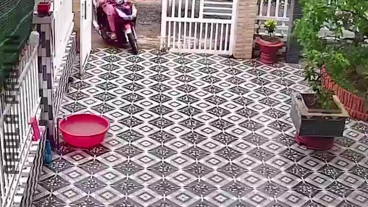 Funny Fails Caught On Camera