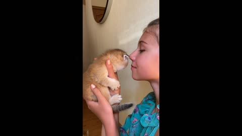 Small cat 😍 subsribe#shorts