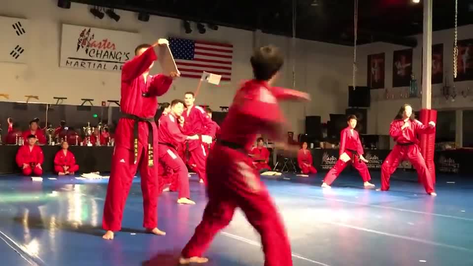 Taekwondo
