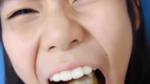 Parrot dentist