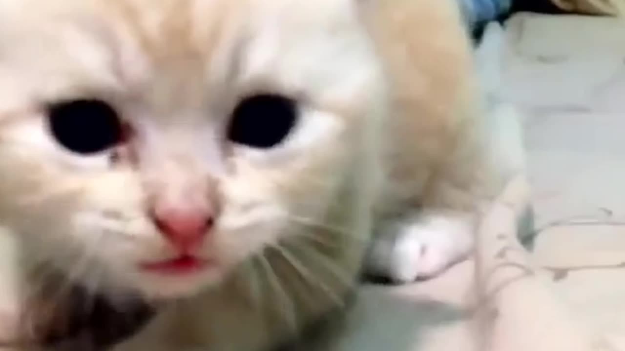 Cute moment