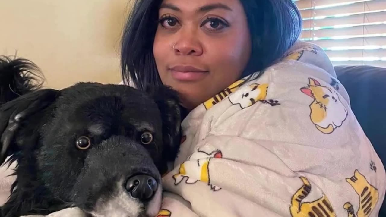 Man Surprises Wife with Plushie of her Past Dog