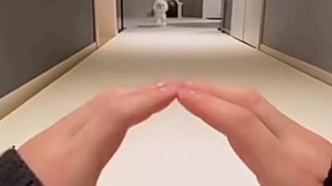 Puppy super cute haircut