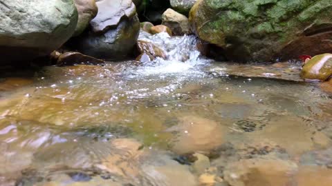water flowing in creek