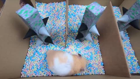 Hamster Escapes The Awesome Minecraft Maze With Underwater Obstacle Course4