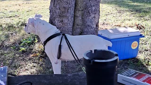 1791 storm trooper #j6 dec 13