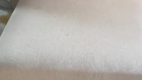 #funny #bed #unbelievable #magic